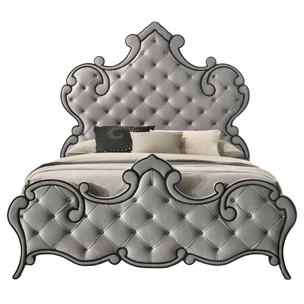 Perine - Bed