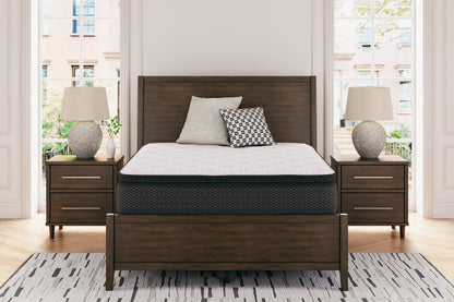 Limited Edition PT Mattress - M41251, M41231, M41211, M41241, M41221 - product view or room setting; only innerspring mattresse included (supplier image 5)