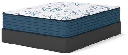 Limited Edition Firm 3.0 Mattress - M45071, M45051, M45041, M45021, M45031, M45011 - product view or room setting; only hybrid mattresse included (supplier image 5)