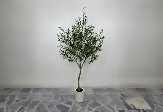 Elegant Mediterranean Olive
