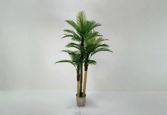 Tropical Palm